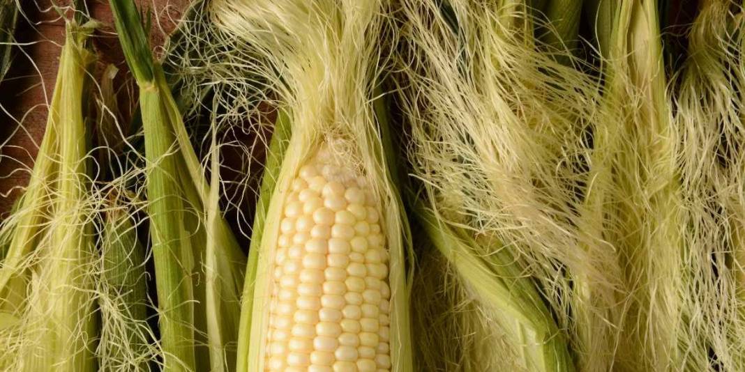 Yılda 2 kez yapana hastalık uğramıyor! Dr. Saraçoğlu altın kadar değerli tavsiyeyi paylaştı: Püsküllerini çöpe atmayın 4